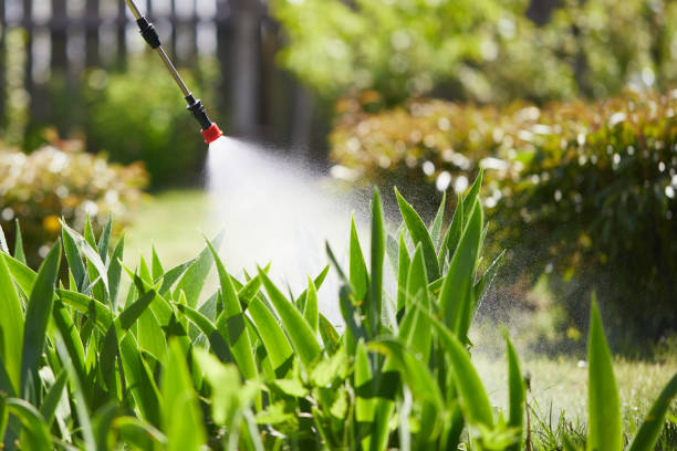 24/7 Emergency Termite Control experts in Fairview Park, OH